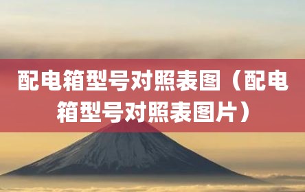 配电箱型号对照表图（配电箱型号对照表图片）