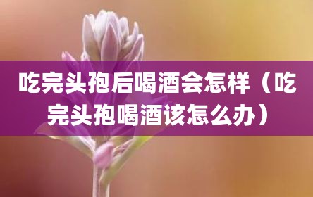 吃完头孢后喝酒会怎样（吃完头孢喝酒该怎么办）