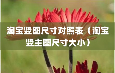 淘宝竖图尺寸对照表（淘宝竖主图尺寸大小）