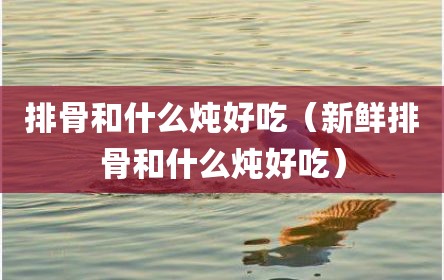 排骨和什么炖好吃（新鲜排骨和什么炖好吃）