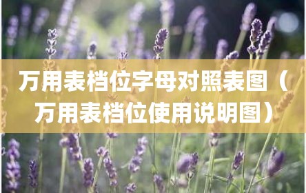 万用表档位字母对照表图（万用表档位使用说明图）