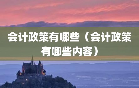 会计政策有哪些（会计政策有哪些内容）