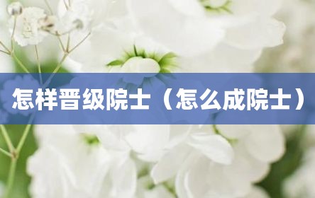怎样晋级院士（怎么成院士）