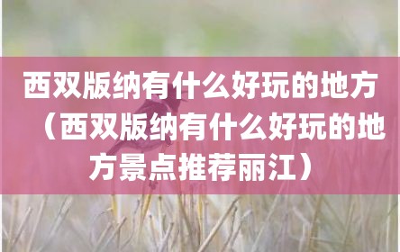 西双版纳有什么好玩的地方（西双版纳有什么好玩的地方景点推荐丽江）