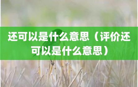 还可以是什么意思（评价还可以是什么意思）