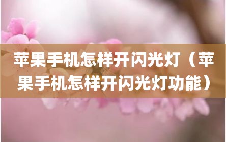 苹果手机怎样开闪光灯（苹果手机怎样开闪光灯功能）