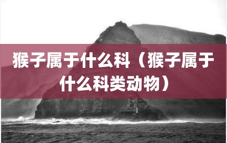 猴子属于什么科（猴子属于什么科类动物）
