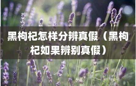 黑枸杞怎样分辨真假（黑枸杞如果辨别真假）