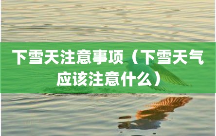 下雪天注意事项（下雪天气应该注意什么）