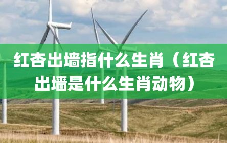 红杏出墙指什么生肖（红杏出墙是什么生肖动物）