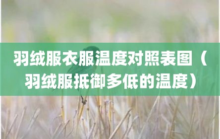 羽绒服衣服温度对照表图（羽绒服抵御多低的温度）