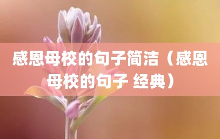 感恩母校的句子简洁（感恩母校的句子 经典）