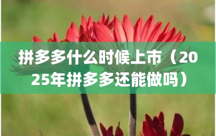 拼多多什么时候上市（2025年拼多多还能做吗）