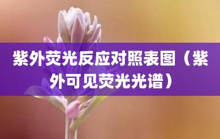 紫外荧光反应对照表图（紫外可见荧光光谱）