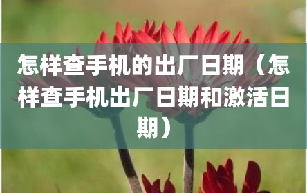 怎样查手机的出厂日期（怎样查手机出厂日期和激活日期）