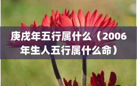 庚戌年五行属什么（2006年生人五行属什么命）