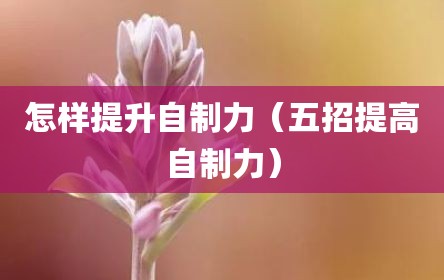 怎样提升自制力（五招提高自制力）