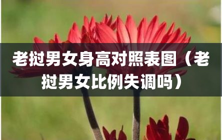 老挝男女身高对照表图（老挝男女比例失调吗）