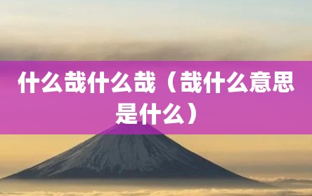 什么哉什么哉（哉什么意思是什么）