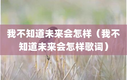 我不知道未来会怎样（我不知道未来会怎样歌词）