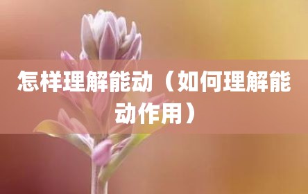 怎样理解能动（如何理解能动作用）