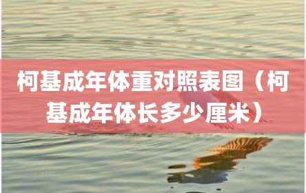 柯基成年体重对照表图（柯基成年体长多少厘米）