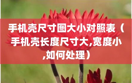 手机壳尺寸图大小对照表（手机壳长度尺寸大,宽度小,如何处理）