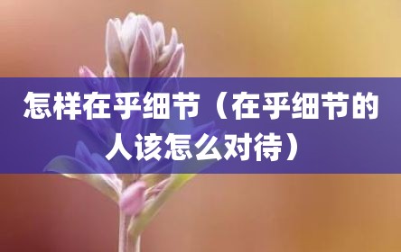 怎样在乎细节（在乎细节的人该怎么对待）