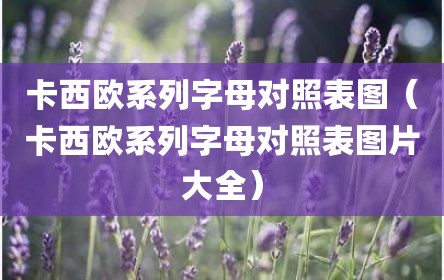 卡西欧系列字母对照表图（卡西欧系列字母对照表图片大全）
