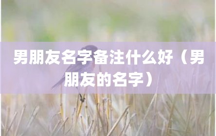 男朋友名字备注什么好（男朋友的名字）