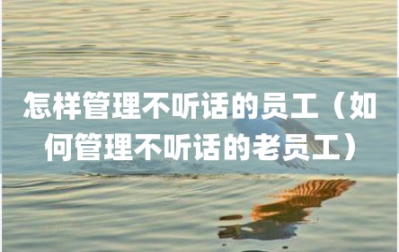怎样管理不听话的员工（如何管理不听话的老员工）