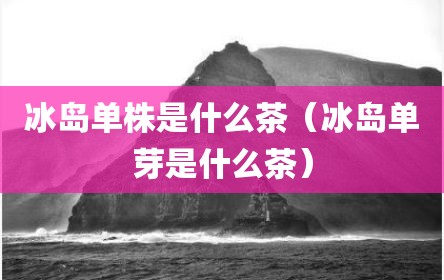 冰岛单株是什么茶（冰岛单芽是什么茶）
