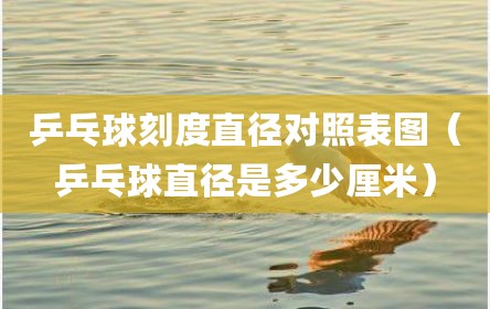 乒乓球刻度直径对照表图（乒乓球直径是多少厘米）