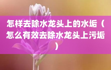 怎样去除水龙头上的水垢（怎么有效去除水龙头上污垢）