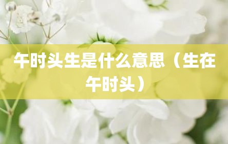 午时头生是什么意思（生在午时头）