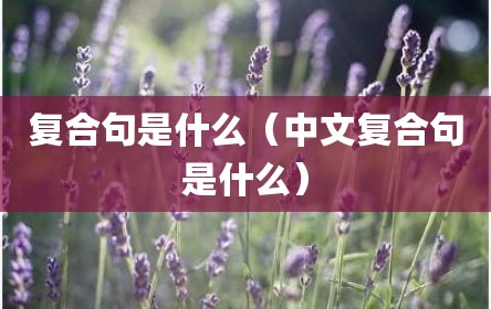复合句是什么（中文复合句是什么）