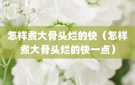 怎样煮大骨头烂的快（怎样煮大骨头烂的快一点）