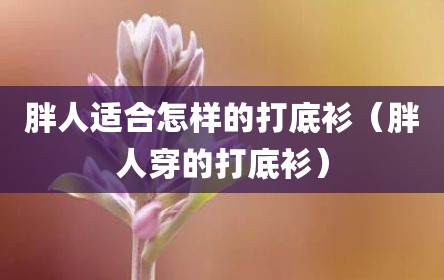 胖人适合怎样的打底衫（胖人穿的打底衫）
