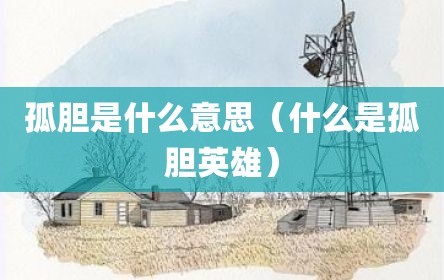 孤胆是什么意思（什么是孤胆英雄）