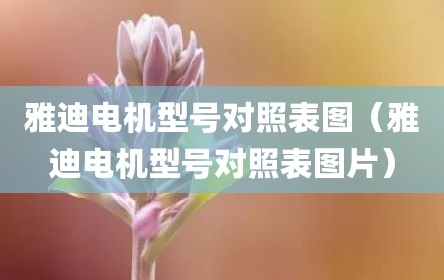雅迪电机型号对照表图（雅迪电机型号对照表图片）