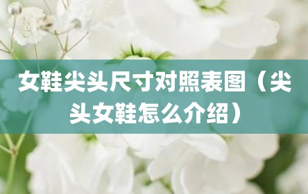 女鞋尖头尺寸对照表图（尖头女鞋怎么介绍）