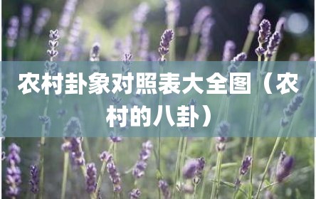 农村卦象对照表大全图（农村的八卦）
