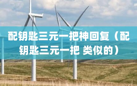 配钥匙三元一把神回复（配钥匙三元一把 类似的）