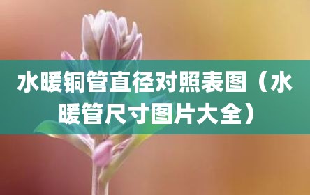 水暖铜管直径对照表图（水暖管尺寸图片大全）