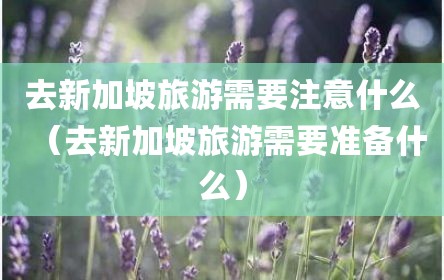 去新加坡旅游需要注意什么（去新加坡旅游需要准备什么）