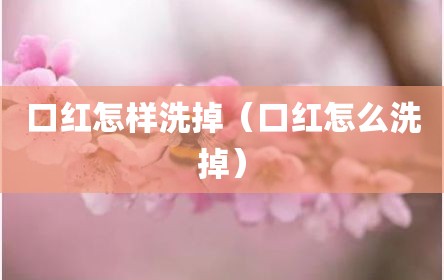 口红怎样洗掉（口红怎么洗掉）
