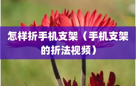 怎样折手机支架（手机支架的折法视频）