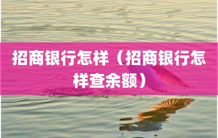 招商银行怎样（招商银行怎样查余额）