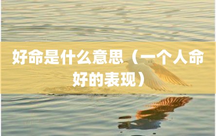好命是什么意思（一个人命好的表现）