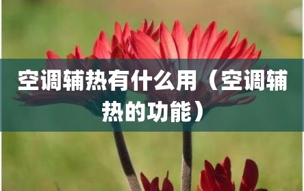 空调辅热有什么用（空调辅热的功能）